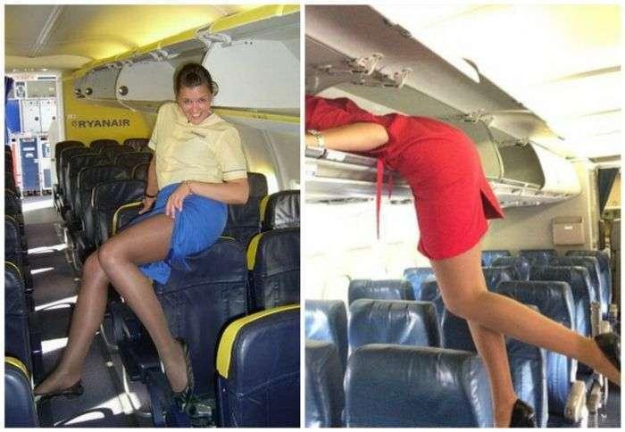 Стюардессы