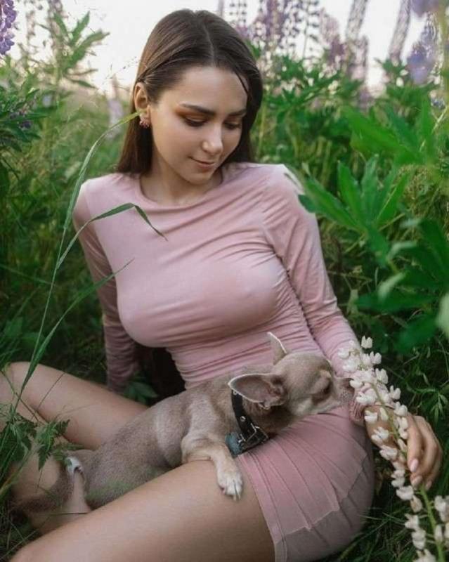 Без названия