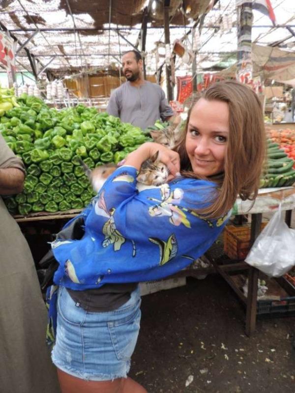 Без названия
