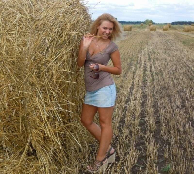 Без названия
