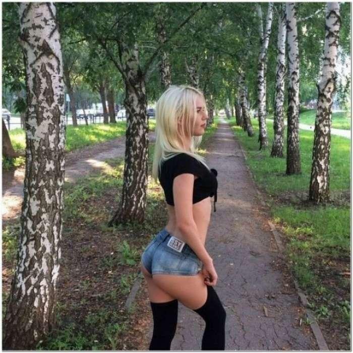 Без названия