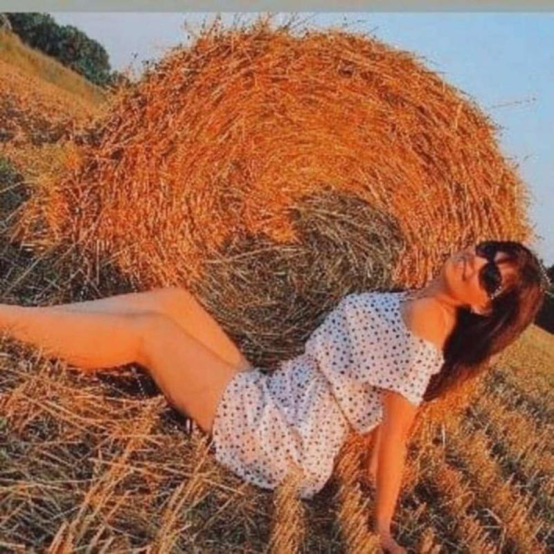 Без названия