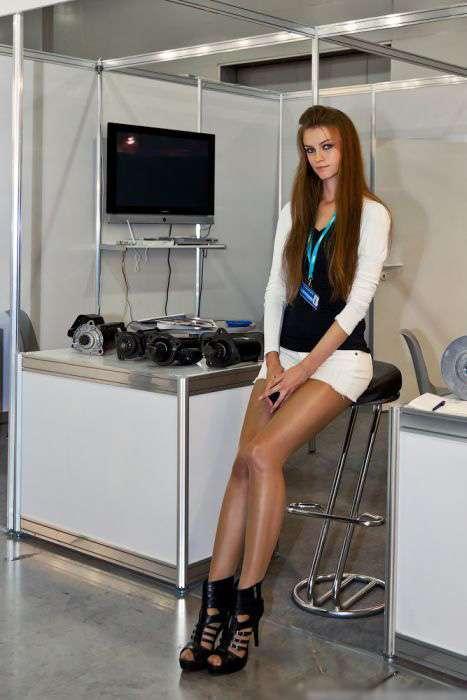 Без названия