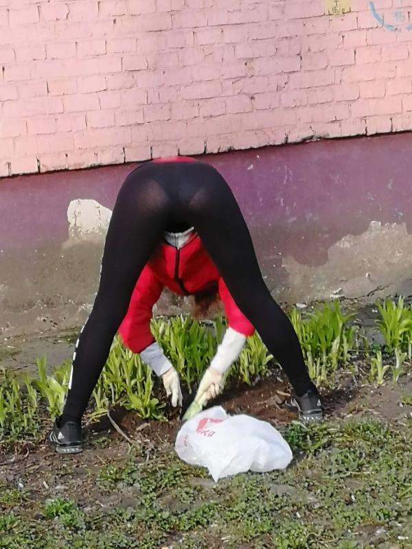 Без названия