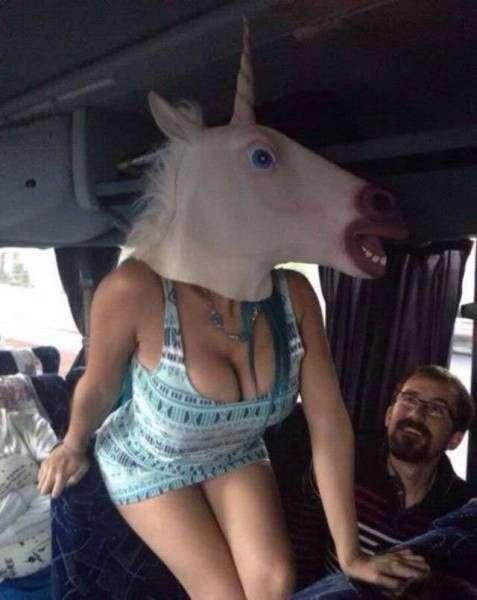 Единорог