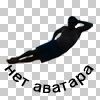 Автор howicame1
